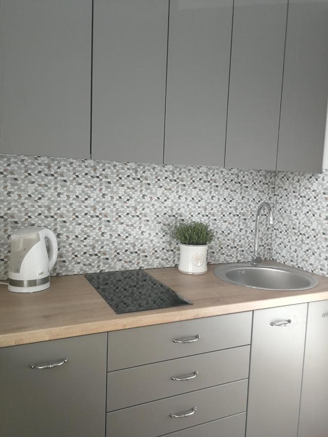 Central Apartments Nojus Друскининкай Экстерьер фото