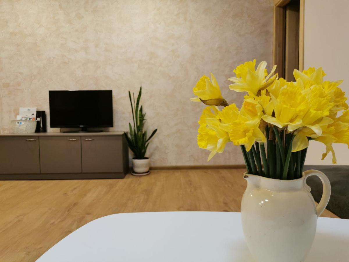 Central Apartments Nojus Друскининкай Экстерьер фото